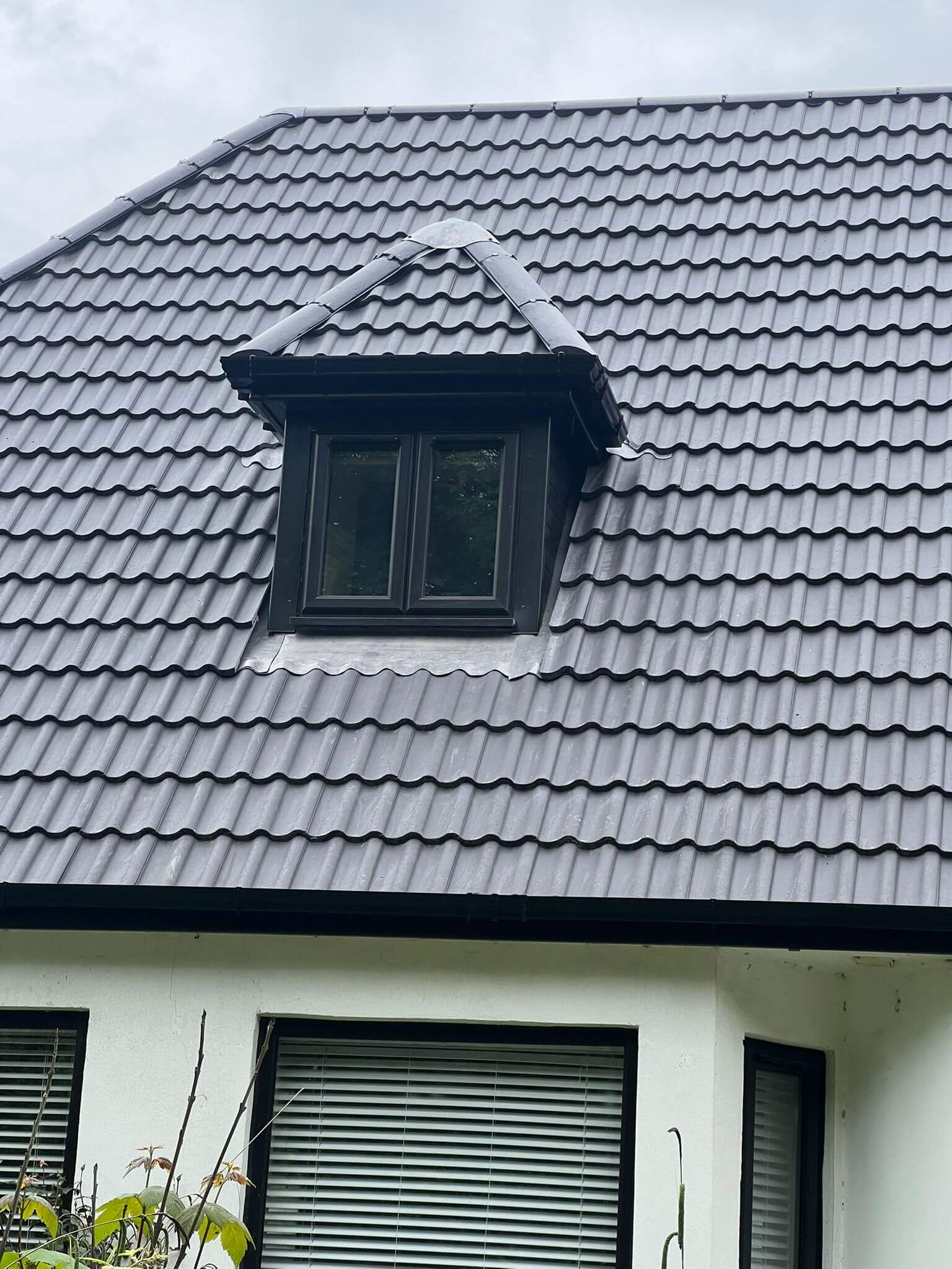 roof repairs specialists hamilton